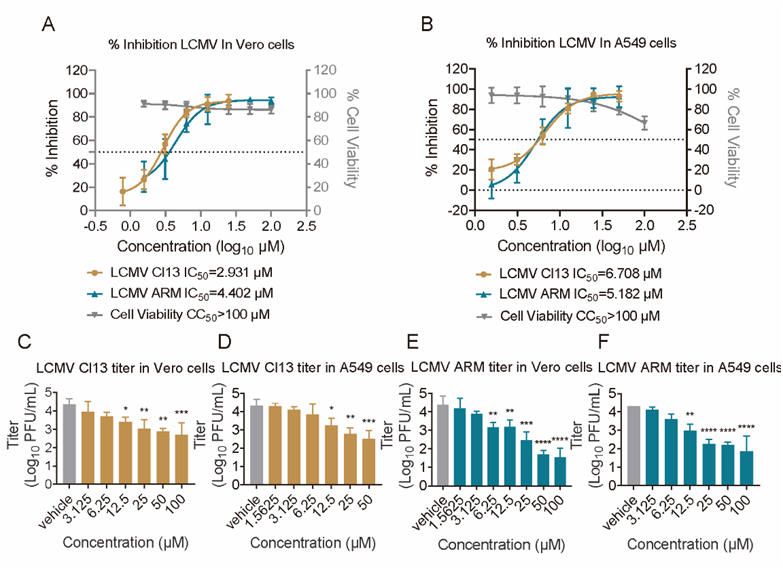 武漢病毒所/高致病性病毒與生物安全全國重點(diǎn)實(shí)驗(yàn)室王薇團(tuán)隊(duì)在沙粒病毒小分子抑制劑研發(fā)方面取得重要進(jìn)展